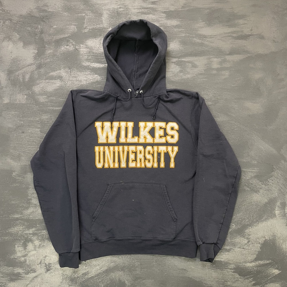 Vintage Wilkes University Hoodie Men Small Blue 2000s Champion